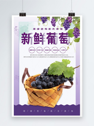 紫色葡萄边框新鲜葡萄水果海报模板