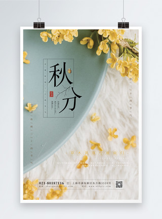 桂花红茶二十四节气秋分海报模板