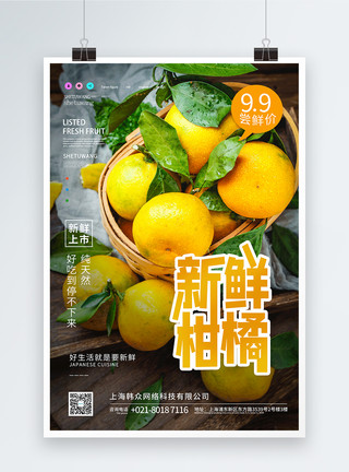柑橘熟了新鲜柑橘水果促销宣传海报模板