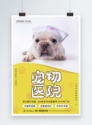 狗吃狗粮可爱风格宠物医院宣传海报模板
