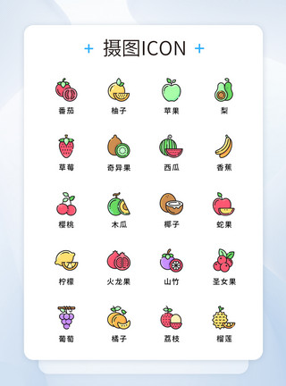 木瓜矢量UI设计原创水果蔬菜图标icon模板