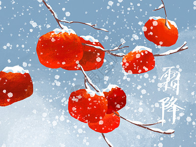 霜降柿子背景图片