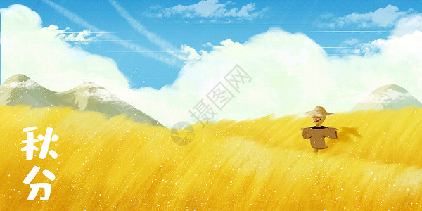 秋天的麦田背景图片