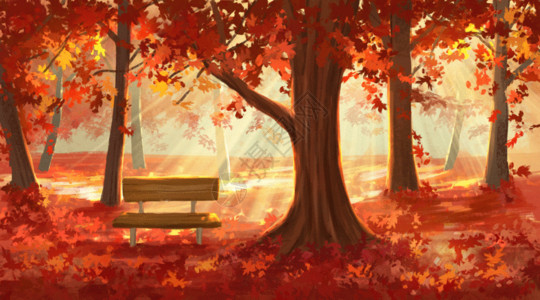 秋天树林孩子秋天的红叶林GIF高清图片