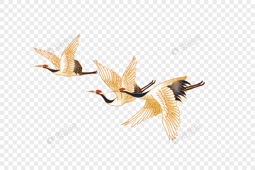 飞翔的仙鹤群图片