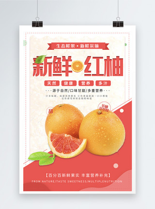 采摘柚子红柚柚子水果海报模板