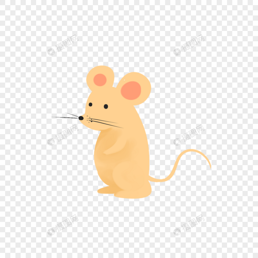 老鼠图片