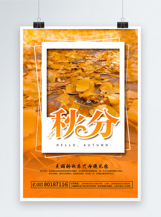 褐色简约树叶24节气秋分海报模板