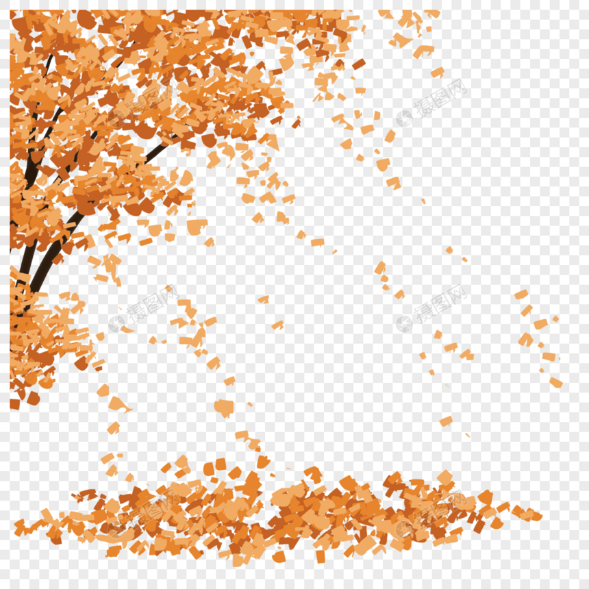 吹落的树叶图片