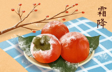 冬季水果素材霜降柿子插画插画