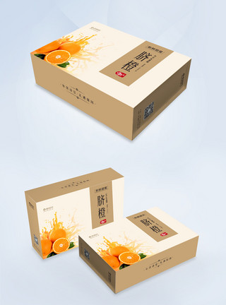 摘脐橙春节年货水果包装礼盒模板