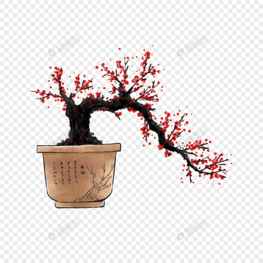 手绘红梅盆栽图片