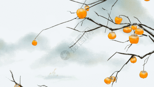 霜降节气中国风插画GIF图片