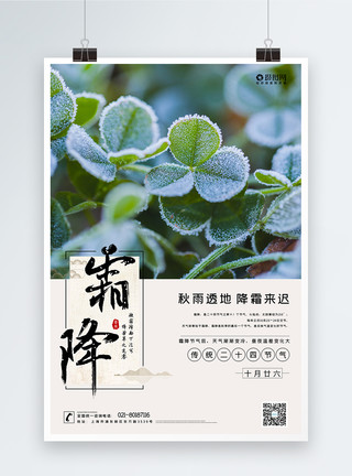 冬季冷色调边框中国传统节气霜降海报设计模板