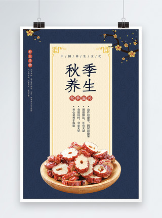 干红枣中式古典秋季养生海报模板