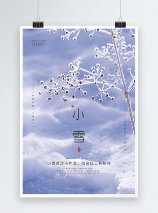 小雪简约海报中国传统二十四节气之小雪海报模板