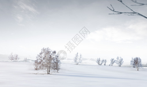 冬日雪地背景背景图片