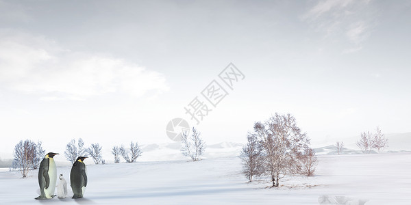 浪漫雪景浪漫冬季背景设计图片