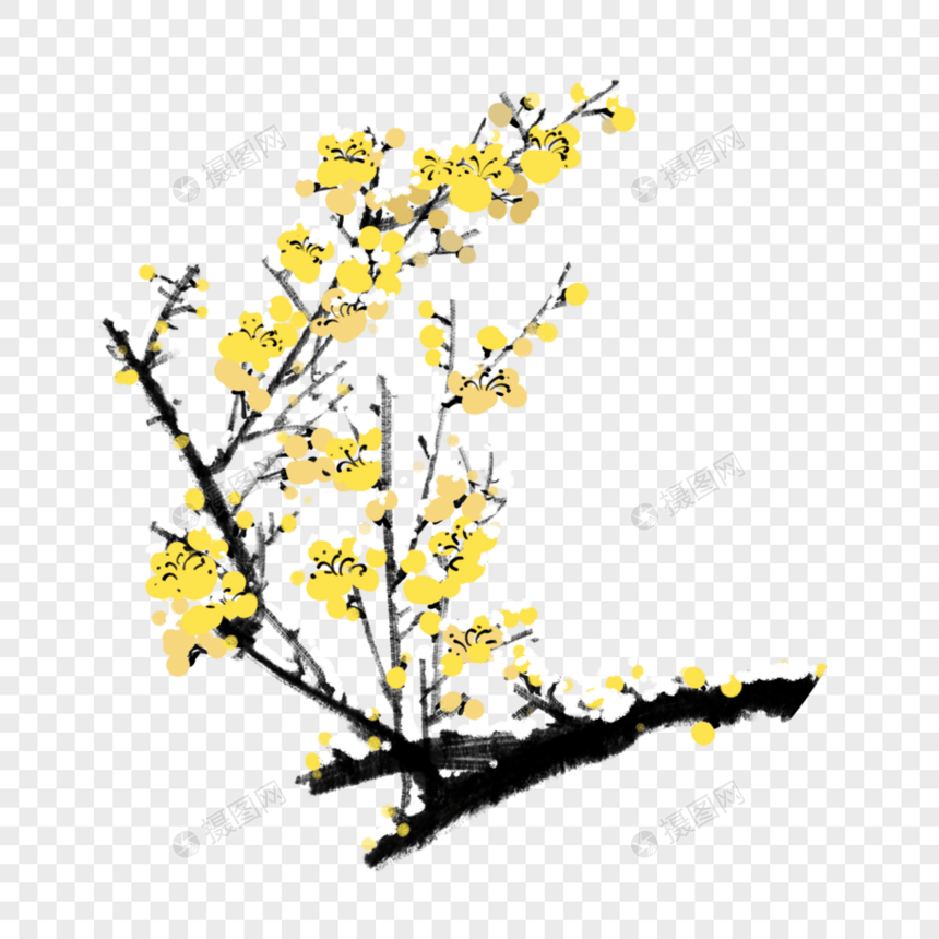 黄色的梅花图片