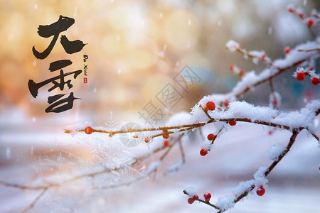 茫茫大雪节气大雪设计图片