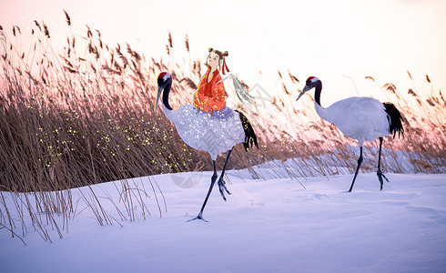 雪地里的鹤和小道士男孩高清图片素材