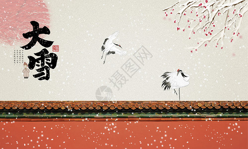 大雪中的丹顶鹤高清图片
