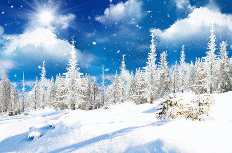在山坡上滑雪冬天风景GIF高清图片