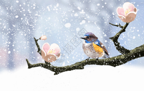 米灰色冬至雪花枝头上的小鸟gif高清图片