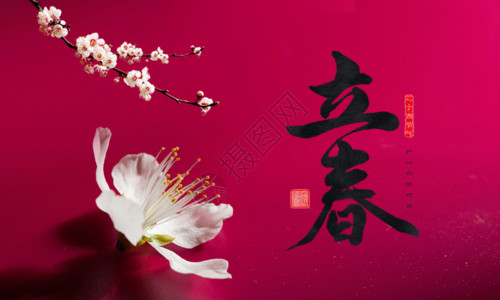 传统立春二十四节气之立春海报设计GIF高清图片