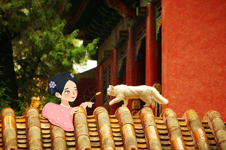 北京故宫系列之逗猫图片