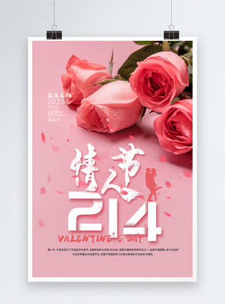 白背景上的玫瑰粉色情人节海报模板
