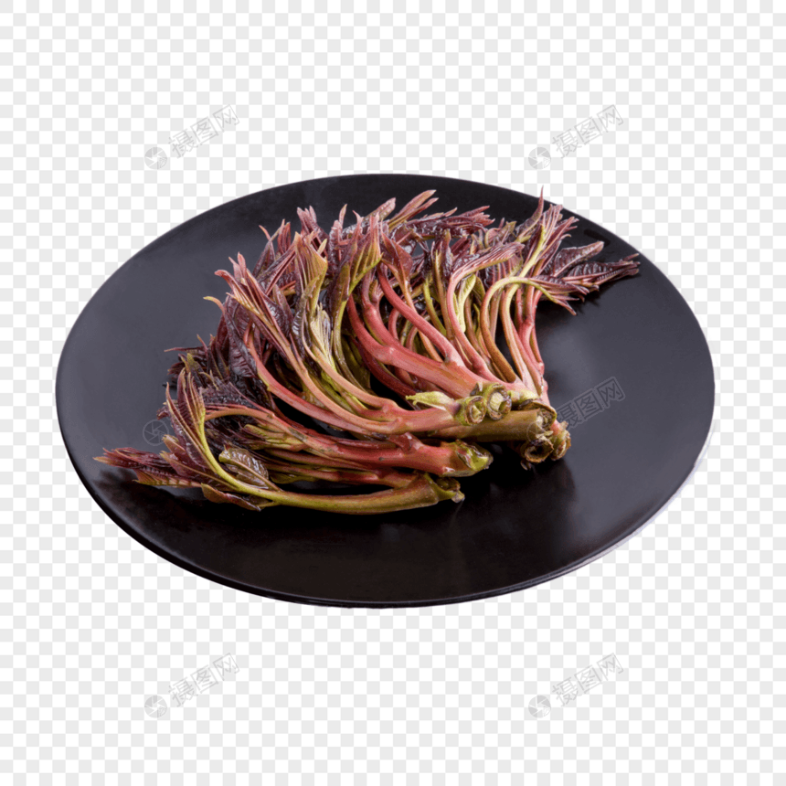 香椿椿芽野菜图片