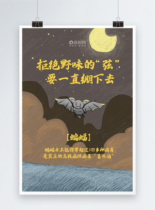 野生动物蝙蝠拒绝野味公益文化宣传海报之蝙蝠模板