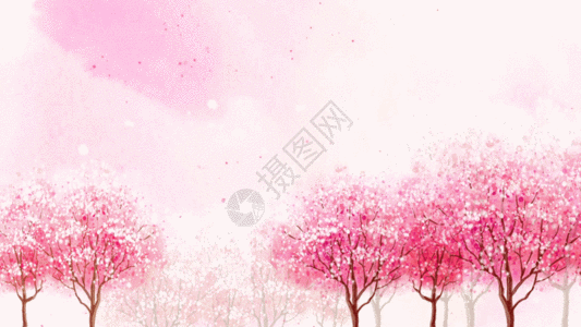 温馨樱花背景视频素材图片