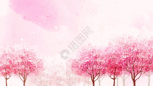 樱花国画素材温馨樱花背景视频素材高清图片