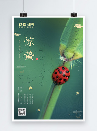 昆虫螳螂简约微凉昆虫植物惊蛰节气海报模板