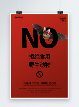 野生蝙蝠拒食野生动物系列海报1模板