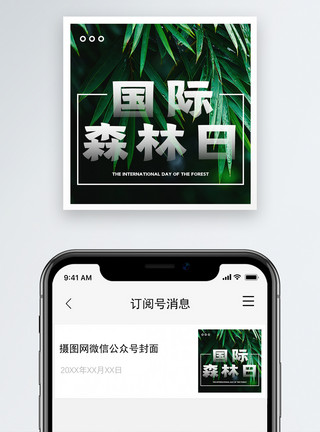 小森林可爱边框世界森林日公众号次图模板