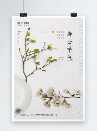 花枝植物插画清新风桌面花枝春分节气海报模板