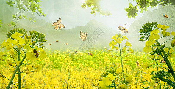 花卉蜜蜂春天花卉背景设计图片