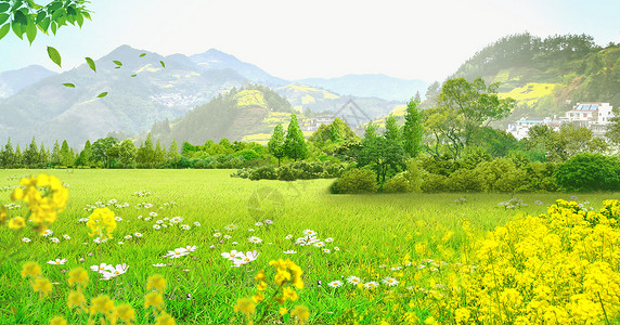 四川崇州油菜花风景春天花卉草地背景设计图片