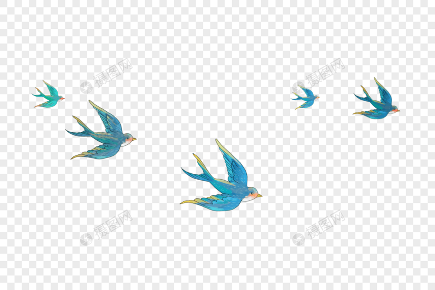 飞翔的燕子图片