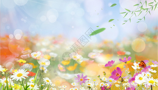 三色植物花卉唯美春意设计图片