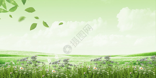 雏菊花开绿色春天背景设计图片