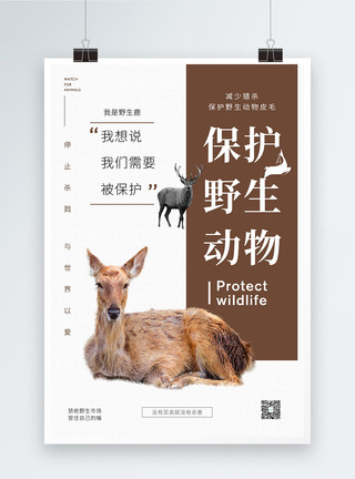 有毒保护野生动物公益海报模板