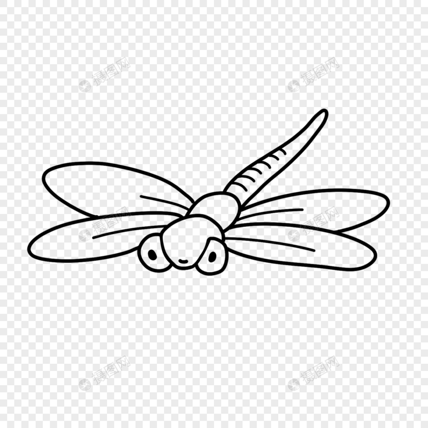蜻蜓简笔画线稿图片