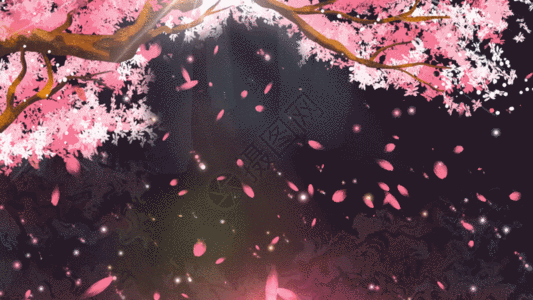 春天樱花树倒影花瓣飘落背景视频元素GIF图片