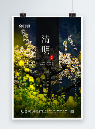 花开中国中国传统节日清明海报模板