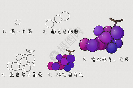 葡萄简笔画教程背景图片