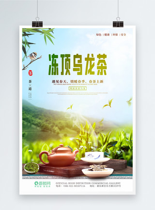 乌龙茶海报冻顶乌龙茶新茶上市春茶明前茶海报模板